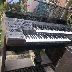 Yamaha YPT 210